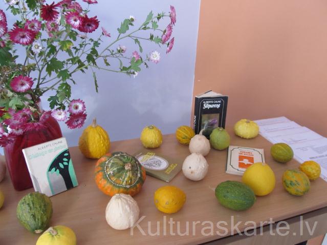 Rudens nāk sētiņā